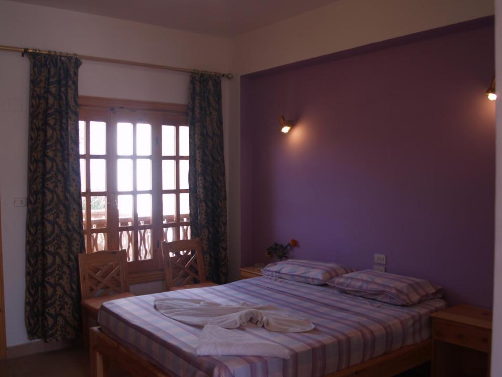 Star Of Dahab Hotel חדר תמונה