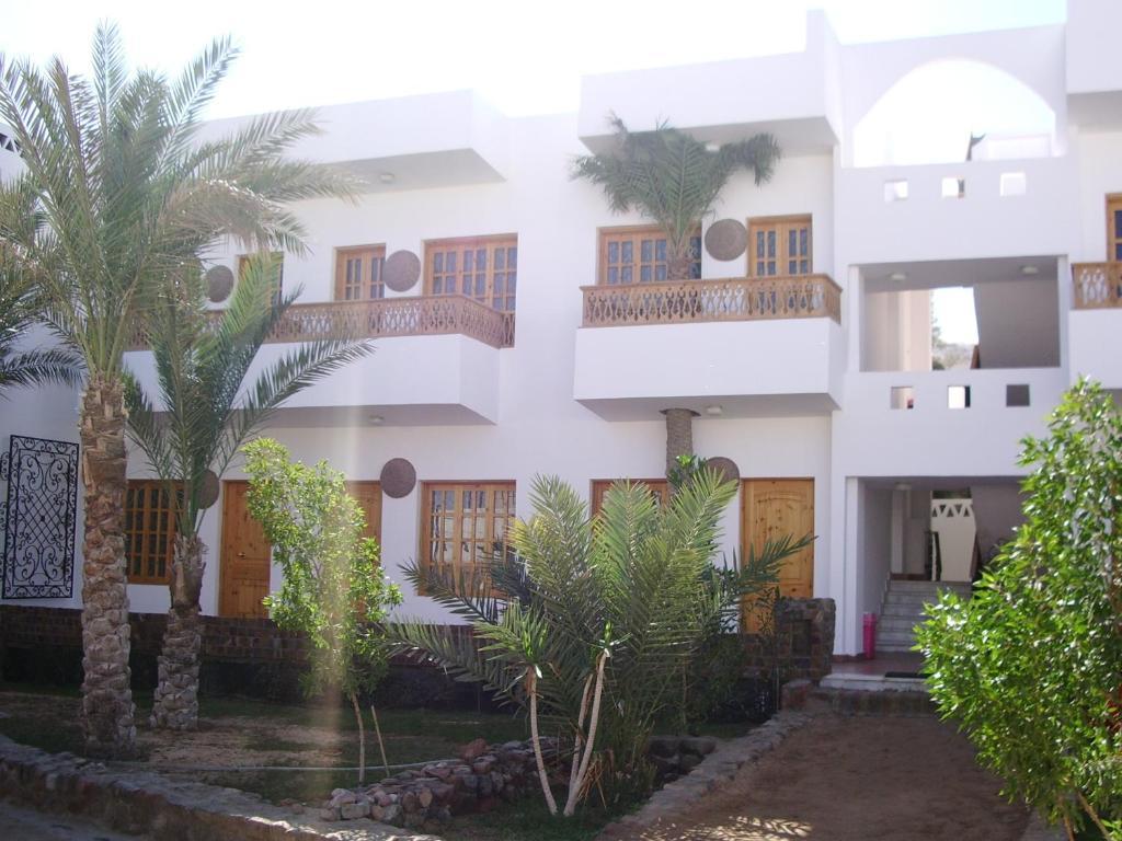 Star Of Dahab Hotel חדר תמונה